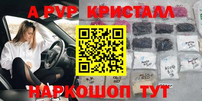 спайс Гусев