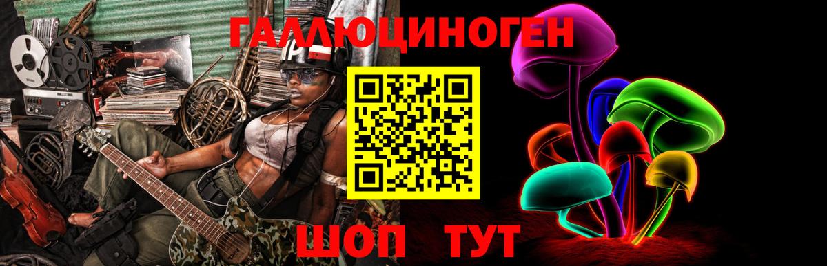 Галлюциногенные грибы Psilocybe Мариинск
